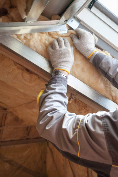Best Residential Insulation in Oakdale, MN