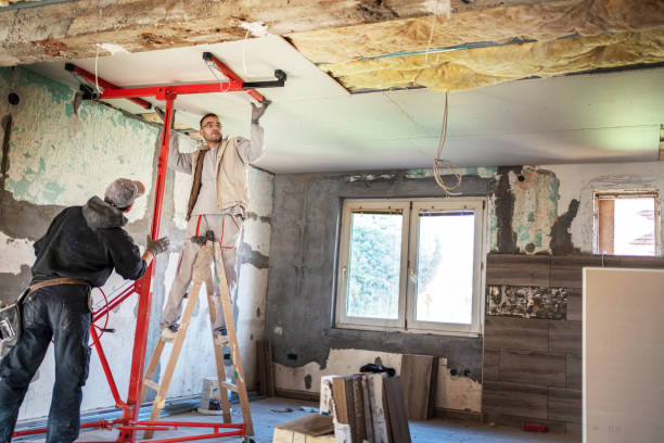 Best Insulation Maintenance and Repair in Oakdale, MN