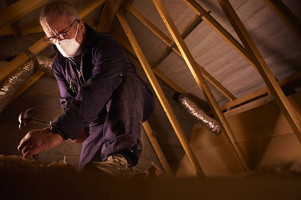 Best Insulation Materials and Products in Oakdale, MN