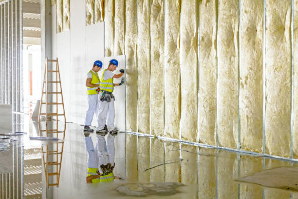Best Types of Insulation in Oakdale, MN